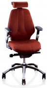 Siège ergonomique pour le dos