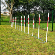 Slalom obstacle pour chien - Structure en acier galvanisé - 12 piquets en acier galvanisé - L. 700 cm - Espacement : 60 cm