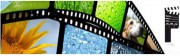 Sociéte de création vidéo d'animation site internet