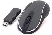 Souris optique noire sans fil