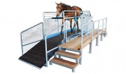 Tapis d’entrainement chevaux