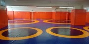 Tapis de lutte