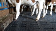Tapis en caoutchouc pour caillebotis