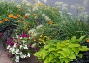 Tapis horticole THM modèle 19