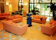 Tapis pour hôtel