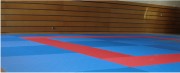 Tatamis de judo