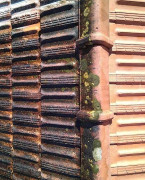 Traitement de toiture hydrofuge coloré
