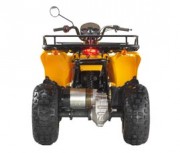 Quad électrique
