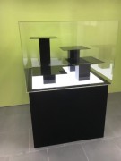 Vitrine de protection en plexiglas