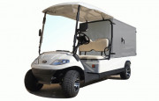 Voiturette de golf