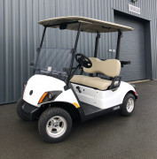 Voiturette de golf électrique 2 places premium 