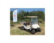 Voiturette de golf électrique