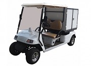 Voiturette de golf frigo