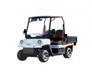 Voiturette électrique homologuée route