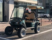Voiturette électrique transport 4 personnes