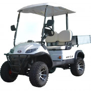 Voiturette golf électrique 2 places