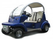 Voiturette golf électrique