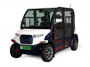 Voiturette utilitaire électrique