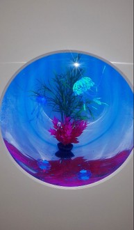 Aquarium en plexiglas - Devis sur Techni-Contact.com - 1