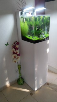 Aquarium en plexiglas - Devis sur Techni-Contact.com - 4