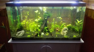 Aquarium en plexiglas - Devis sur Techni-Contact.com - 6