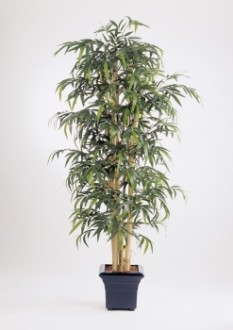 Arbre bambou artificiel - Devis sur Techni-Contact.com - 1