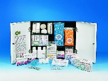 Armoire à pharmacie en ABS 2 portes - Devis sur Techni-Contact.com - 2