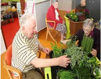 Bac carré jardin thérapeutique - Devis sur Techni-Contact.com - 5