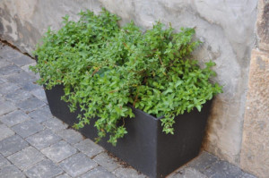 Produit 2