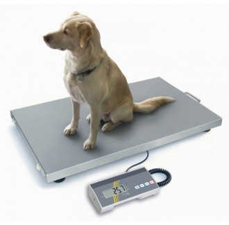 Balance de pesage vétérinaire - Devis sur Techni-Contact.com - 1