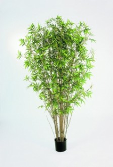 Bambou japonais artifciel - Devis sur Techni-Contact.com - 1