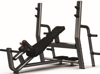 Banc de musculation développé incliné en acier - Devis sur Techni-Contact.com - 1