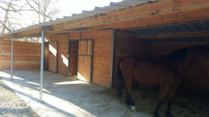 Box professionnel pour chevaux - Devis sur Techni-Contact.com - 6