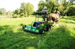 Broyeur d'herbe autonome  - Devis sur Techni-Contact.com - 5