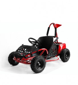 Buggy enfant 4X4 - Devis sur Techni-Contact.com - 1