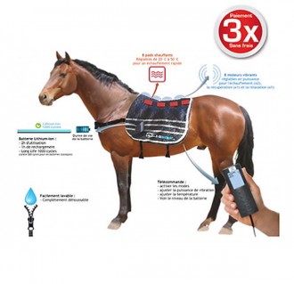 Ceinture de massage chauffante pour chevaux - Devis sur Techni-Contact.com - 3