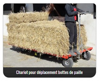 Chariot pour déplacement bottes de paille - Devis sur Techni-Contact.com - 1