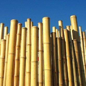 Clôture bambou - Devis sur Techni-Contact.com - 3