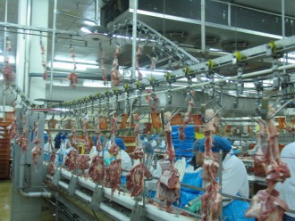 Convoyeur aérien pour abattoir - Devis sur Techni-Contact.com - 1