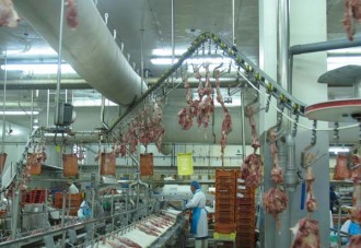 Convoyeur aérien pour abattoir - Devis sur Techni-Contact.com - 2