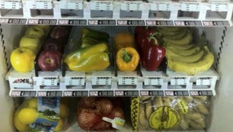 Distributeur automatique fruits et légumes - Devis sur Techni-Contact.com - 2
