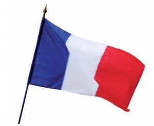 Drapeaux sur hampe France - Devis sur Techni-Contact.com - 1