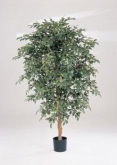 Ficus folia artificiel - Devis sur Techni-Contact.com - 1