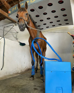 Guêtre de refroidissement pour chevaux - Devis sur Techni-Contact.com - 1