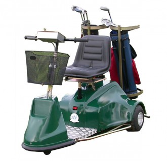 Golfette électrique 300 kg - Devis sur Techni-Contact.com - 1