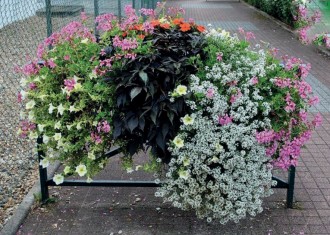 Jardinière pour barrière de ville - Devis sur Techni-Contact.com - 3