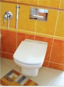 Mitigeur bidet avec douchette - Devis sur Techni-Contact.com - 2