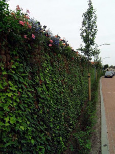 Produit 8