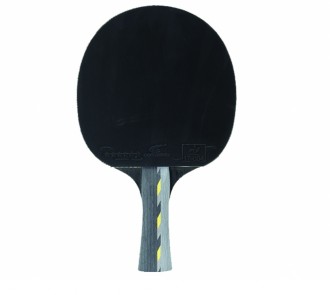 Pack raquette ping pong avec CD d'apprentissage - Devis sur Techni-Contact.com - 3