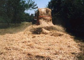 Produit 1
